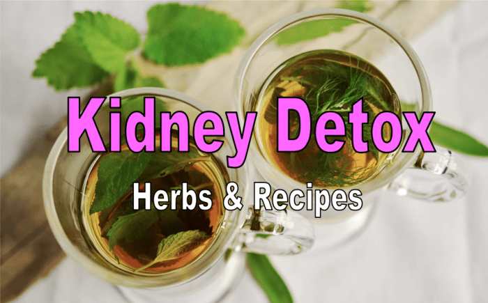 Kidney detox